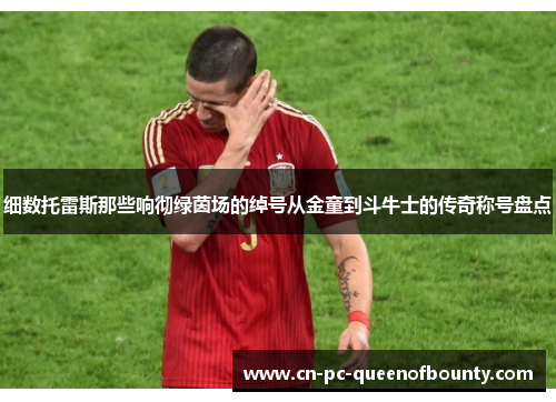 细数托雷斯那些响彻绿茵场的绰号从金童到斗牛士的传奇称号盘点