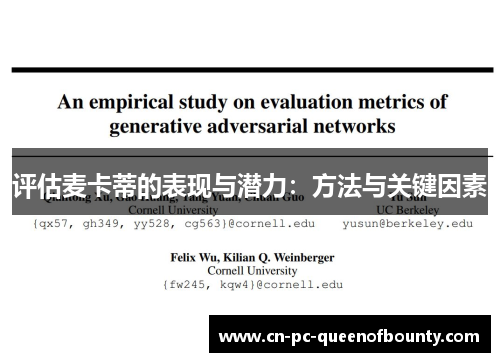 评估麦卡蒂的表现与潜力：方法与关键因素
