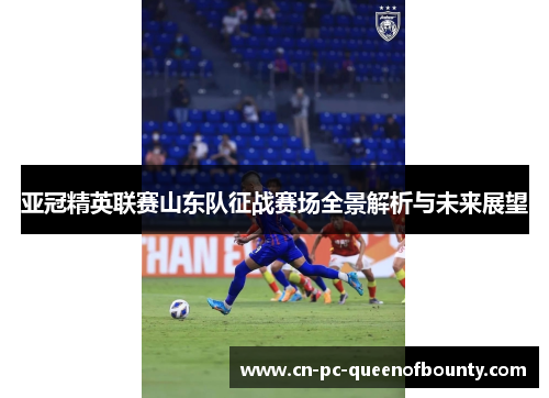 亚冠精英联赛山东队征战赛场全景解析与未来展望