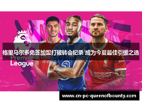 格里马尔多免签加盟打破转会纪录 成为今夏最佳引援之选 格里马尔多免签加盟打破转会纪录 成为今夏最佳引援之选