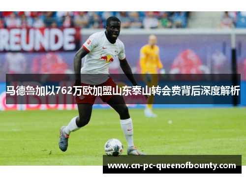 马德鲁加以762万欧加盟山东泰山转会费背后深度解析
