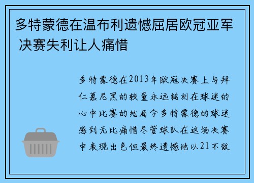 多特蒙德在温布利遗憾屈居欧冠亚军 决赛失利让人痛惜